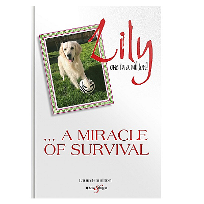 Lily One Dog in a Million (Book)